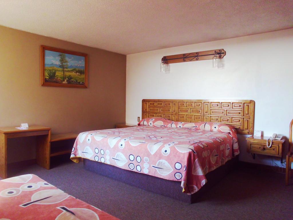 Hotel La Posada Apizaco Pokoj fotografie